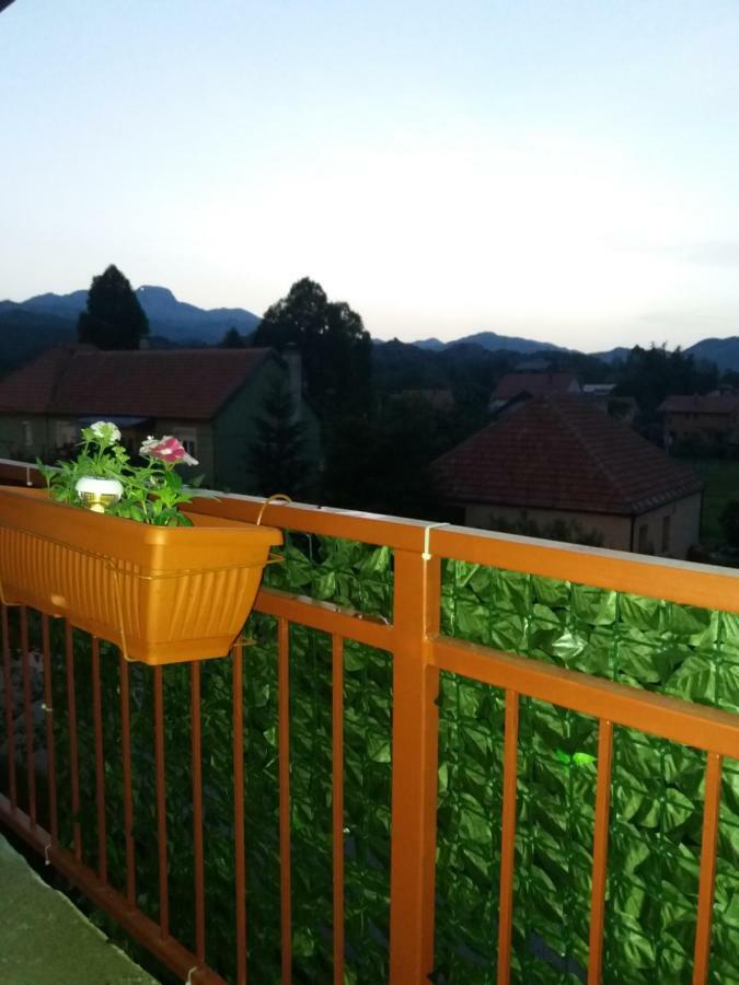 סטינג'ה Apartments Mirkovic מראה חיצוני תמונה